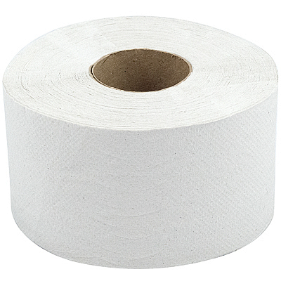 Бумага туалетная 1-сл h90 d170 мм 200 м/рул COMFORT без перфорации БЕЛЫЙ ЦЕЛЛЮЛОЗА "PROtissue" Купить бумага туалетная 1-сл h90 d170 мм 200 м/рул comfort без перфорации белый целлюлоза "protissue" в Москве