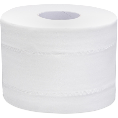 Бумага туалетная 2-сл h110 d160 мм 120 м/рул 686 лист/рул POINT с центр вытяжением с тиснением и перфорацией ЦЕЛЛЮЛОЗА "FOCUS" (артикул производителя 5036915) Купить бумага туалетная 2-сл h110 d160 мм 120 м/рул 686 лист/рул point с центр вытяжением с тиснением и перфорацией целлюлоза "focus" (артикул производителя 5036915) в Москве