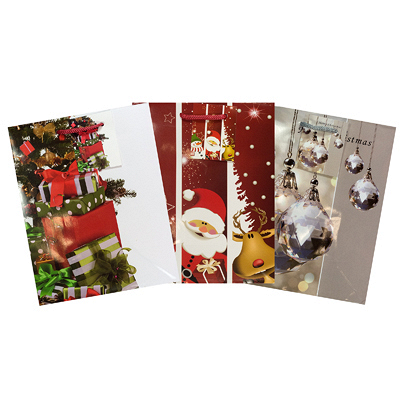 Купить пакет подарочный бумажный дхшхв 180х100х230 мм рождественский цвет в ассортименте papstar (артикул производителя 14504), 10 шт./упак в Москве